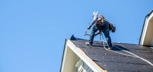 Best Roof Repair Services  in Randleman, NC